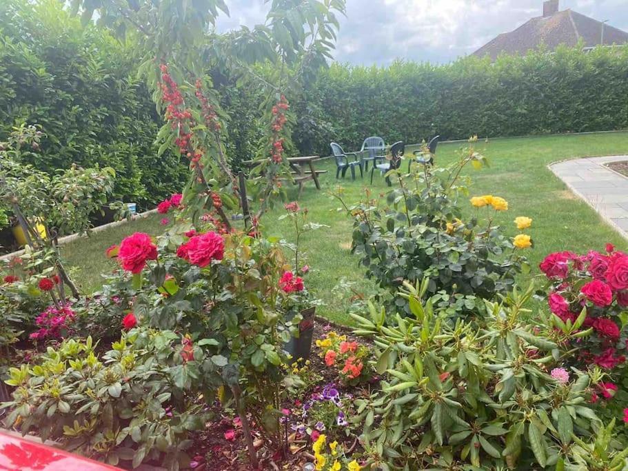 Lovely 1 Bed Studio Apartment With Free Parking Oksford Zewnętrze zdjęcie